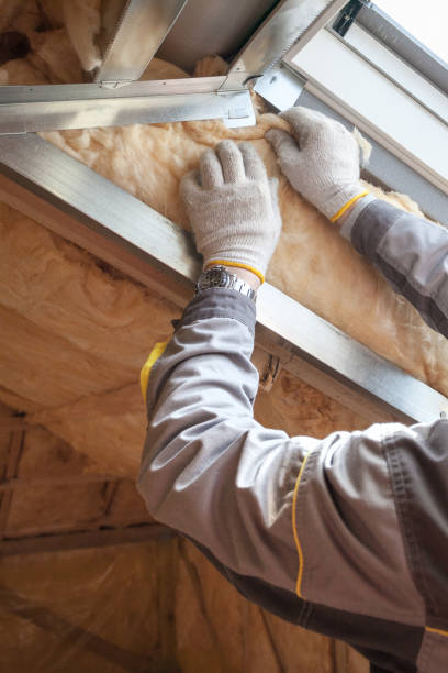 Best Insulation Maintenance and Repair in Havana, IL