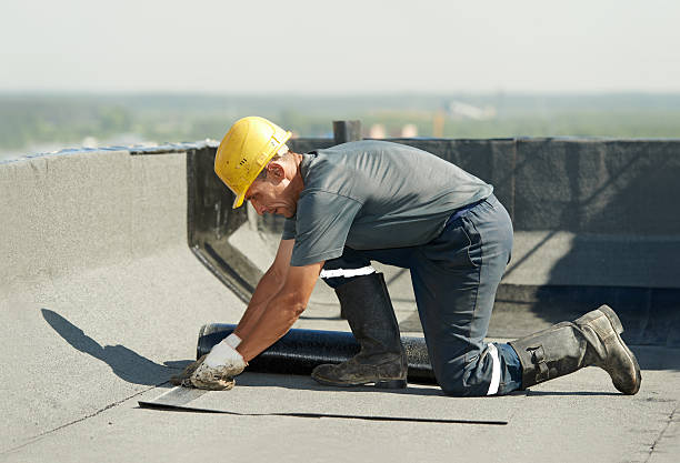 Best Insulation Maintenance and Repair in Havana, IL
