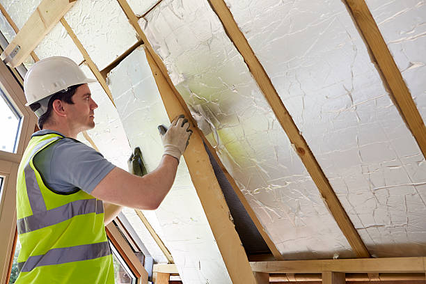 Types of Insulation We Offer in IL