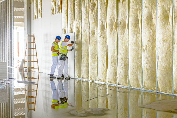 Best Insulation for Specific Applications in Havana, IL